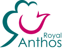 Royal Anthos